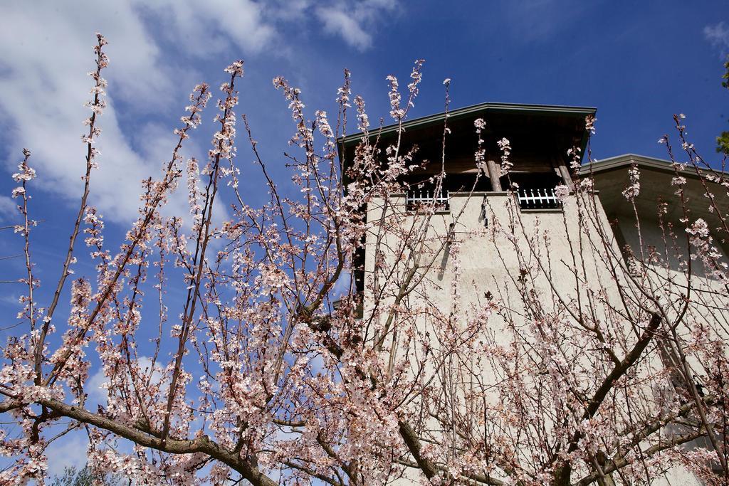 Tordandrea Torretta D'Assisi B&B 외부 사진